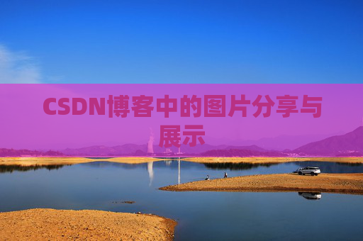 CSDN博客中的图片分享与展示